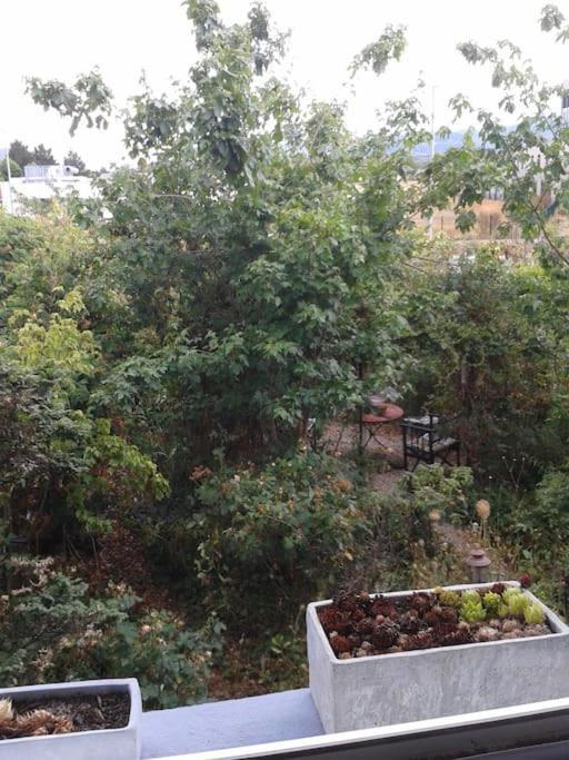 Logement Independant Colmar Bagian luar foto